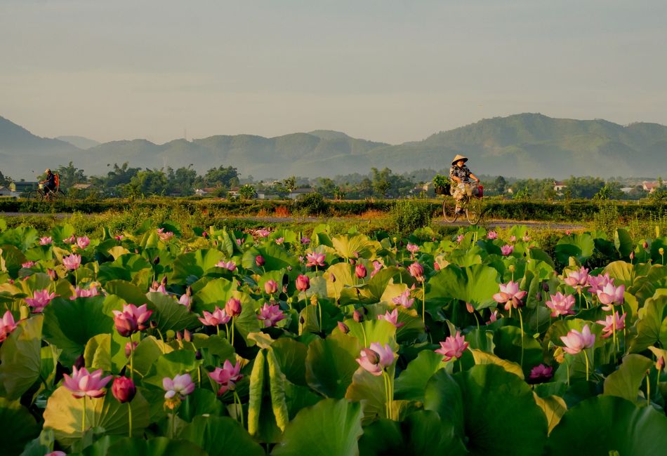 background hero for Top 9 Unforgettable Experiences in Vietnam’s Countryside