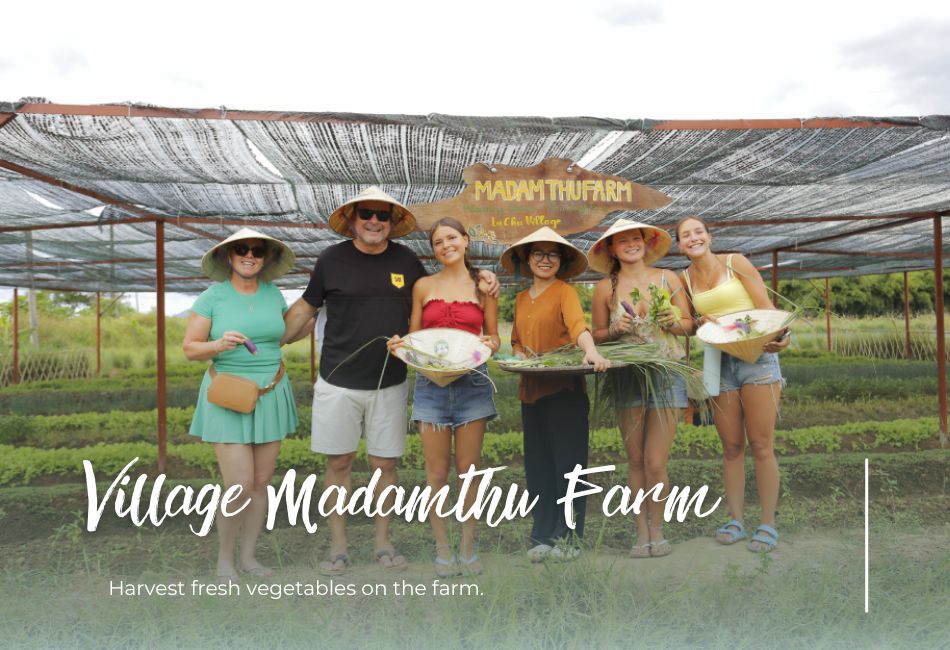 Madam Thu Farm