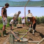 Hue culture in Vietnam Imperial City hue culture countryside farming