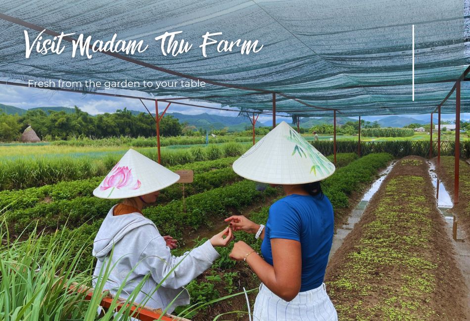 Cooking Class in Hue: From Farm to Table Experience in La Chu Village
